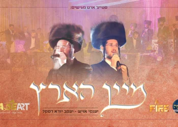 לב טהור - 'מיין הארץ'