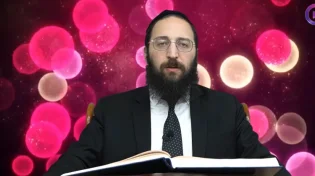 דף יומי: הדף היומי לצפייה - כתובות ס' - ח' אלול