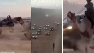 כמו בערב הסעודית: צפו במרוץ הגמלים של השבטים בדרום