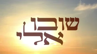 שמחה שור - "שובו אליי"