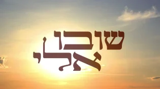 שמחה שור - "שובו אליי"