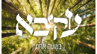 עקיבא - "בשעה אחת"