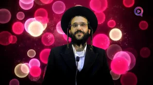 הרב שמואל זיידנברג | פרשת כי תבוא