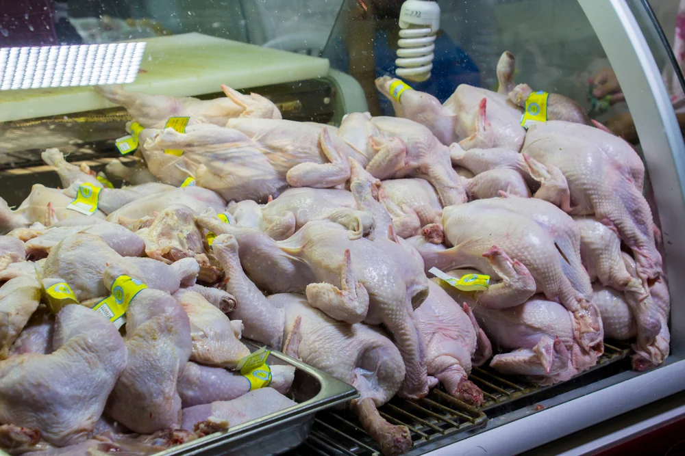 לקראת חגי תשרי: מחסור זמני בעופות טריים לקראת חגי תשרי: מחסור זמני בעופות טריים