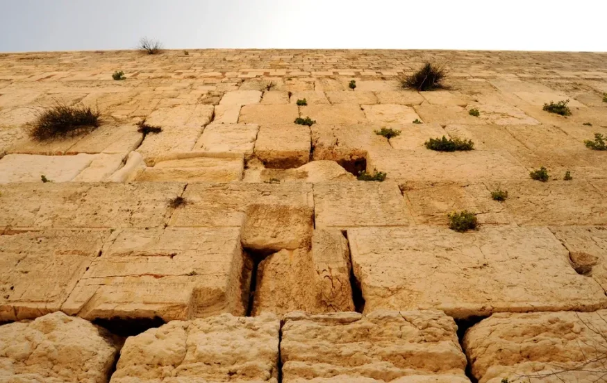 האם צום גדליה חובה? האם צום גדליה חובה?
