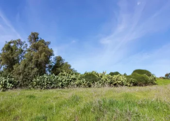 תחזית מזג האוויר: עלייה בטמפרטורות בסוף השבוע 