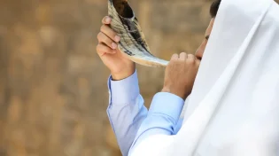 האם תוקעים בשופר בעשרת ימי תשובה?