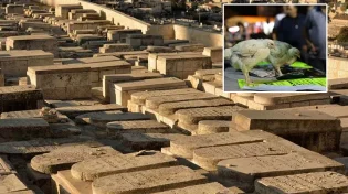 כפרה תציל ממוות? זה קרה רגע לפני שהאישה מתה