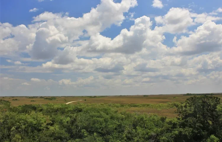 גשם ביום כיפור: תחזית ליום כיפור 2022 גשם ביום כיפור: תחזית ליום כיפור 2022