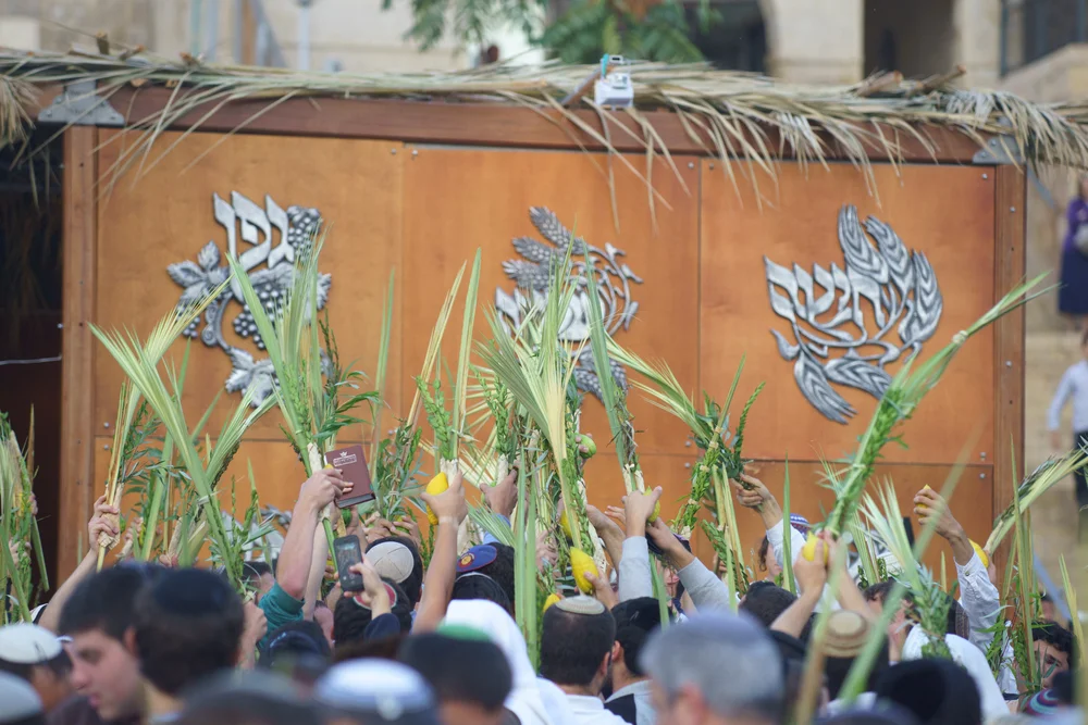 מקרה חמור: 4 המינים הוחרמו מיהודים באירופה מקרה חמור: 4 המינים הוחרמו מיהודים באירופה