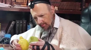 בחירת האתרוג שנעשתה על ידי גורל: אצל הרב דב קוק