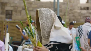 סוכות 2024: כמה דברים שאתם צריכים לדעת לפני החג
