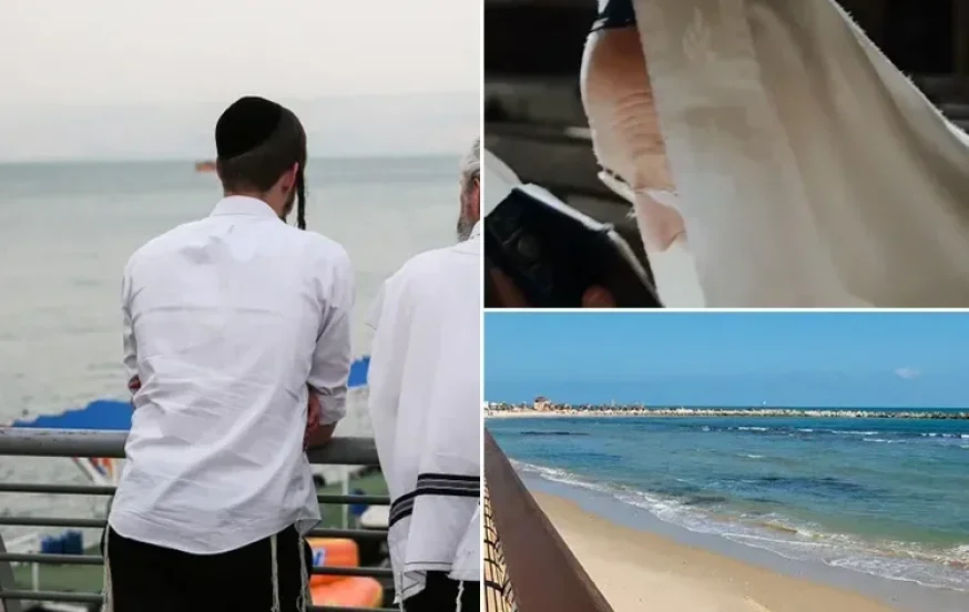 (צילום: David Cohen 156/shutterstock/Elena Dijour) (צילום: David Cohen 156/shutterstock/Elena Dijour)