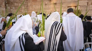 מה אסור ומה מותר לעשות בסוכות חול המועד?