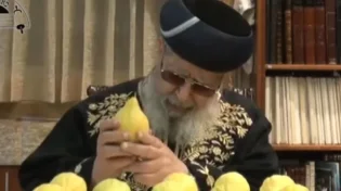 האופן בו מרן הרב עובדיה היה בוחר את ארבעת המינים