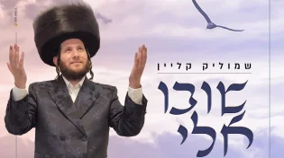 שמוליק קליין - "שובו אלי"
