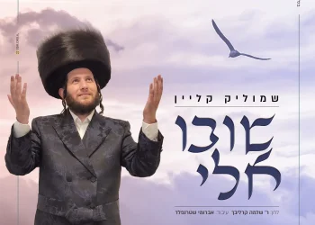 שמוליק קליין – "שובו אלי"