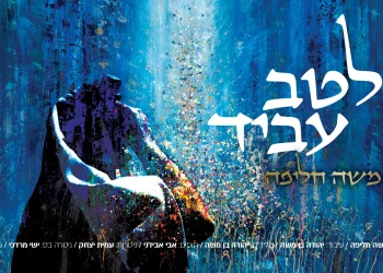 משה חליפה – "לטב עביד"