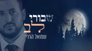 שמואל הררי -&nbsp;'שבורי&nbsp;לב'