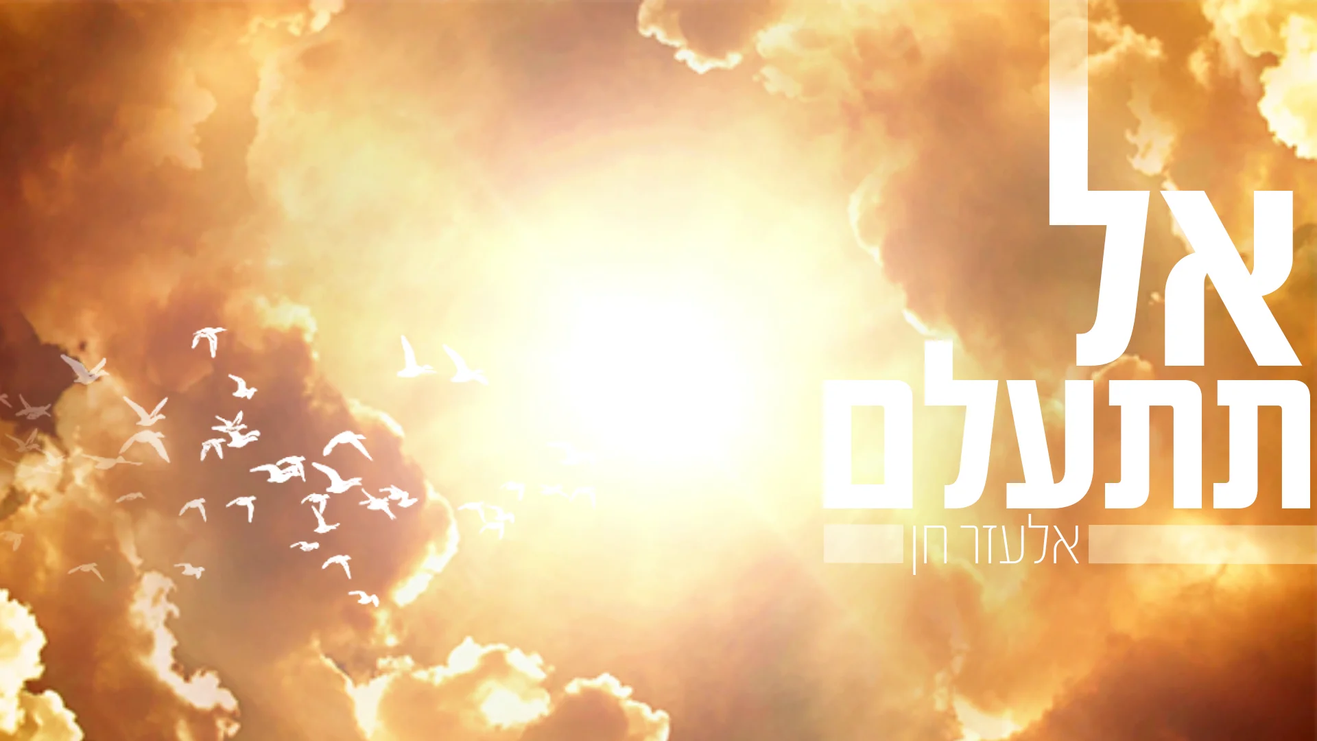 אלעזר חן - "אל תתעלם"