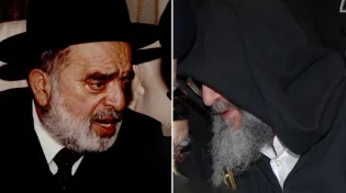 מה קרה חודש אחרי שרבי אבא שאול הגיע לבבא אלעזר?