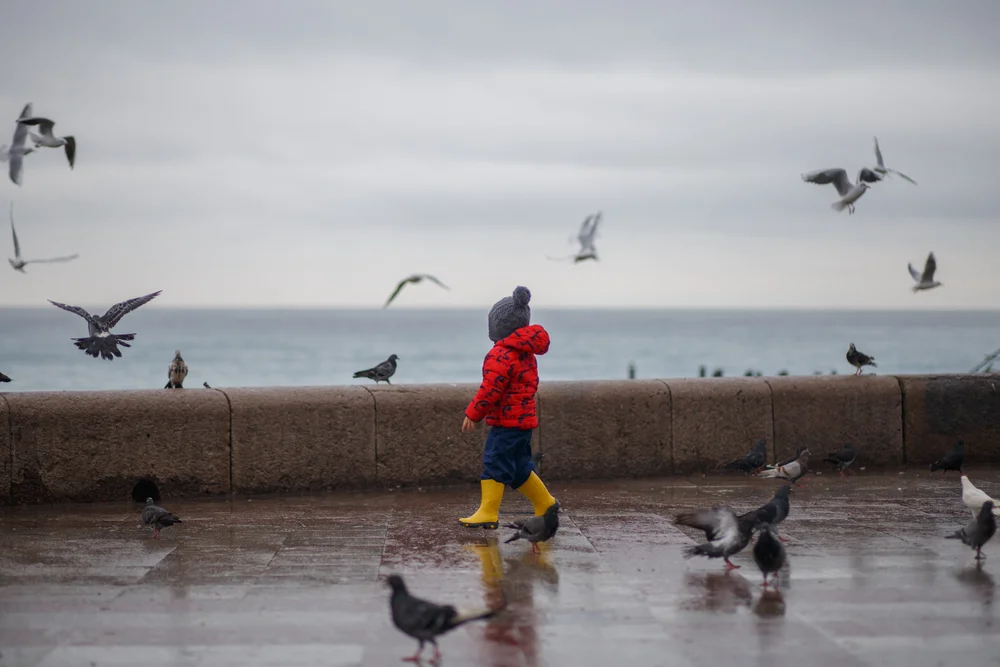 סכנות בחורף
