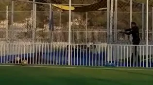 מחיר כבד: 300 אסירים ישוחררו, חלקם הורשעו בניסיון לרצח