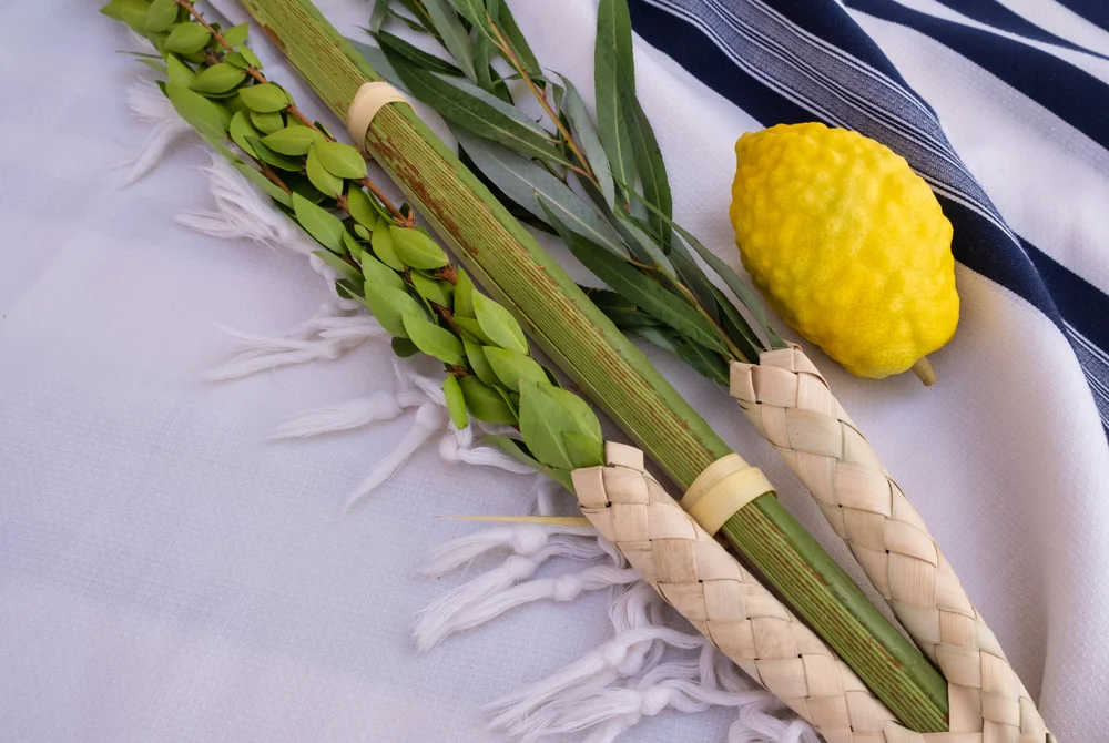 הושענא רבה: ליל הושענא רבה מה זה? הושענא רבה: ליל הושענא רבה מה זה?