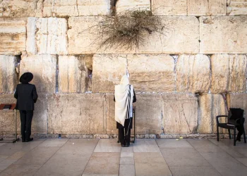 האם מותר להסתפר בעשרה בטבת? תספורת בעשרה בטבת
