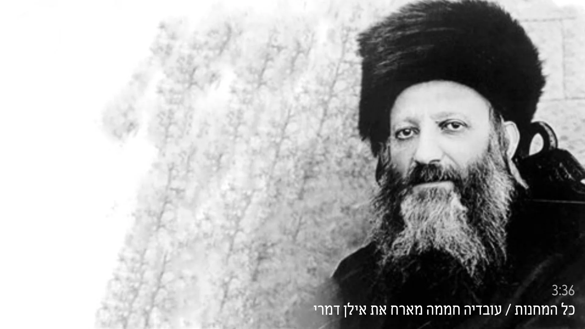 אילן דמרי - "כל המחנות"