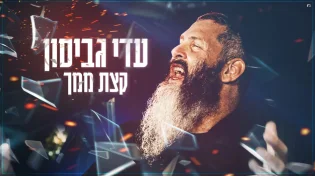 עדי גביסון - "קצת ממך"