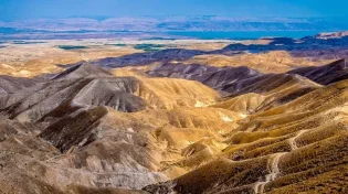 מדהים ביותר: מפל שנוצר מהגשם במדבר יהודה
