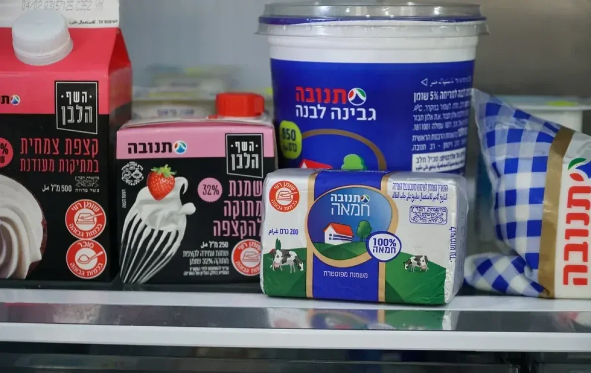 תנובה מעלה מחירים: העלאת מחירים בחלק ממוצרי החלב תנובה מעלה מחירים: העלאת מחירים בחלק ממוצרי החלב