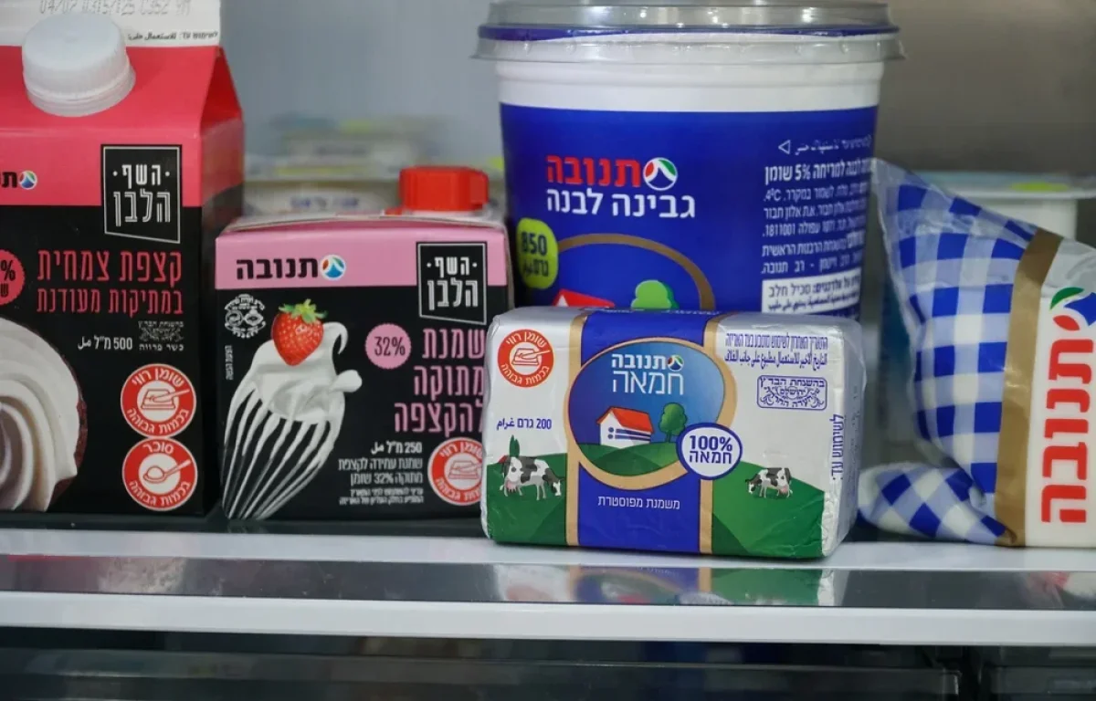 תנובה מעלה מחירים: העלאת מחירים בחלק ממוצרי החלב 