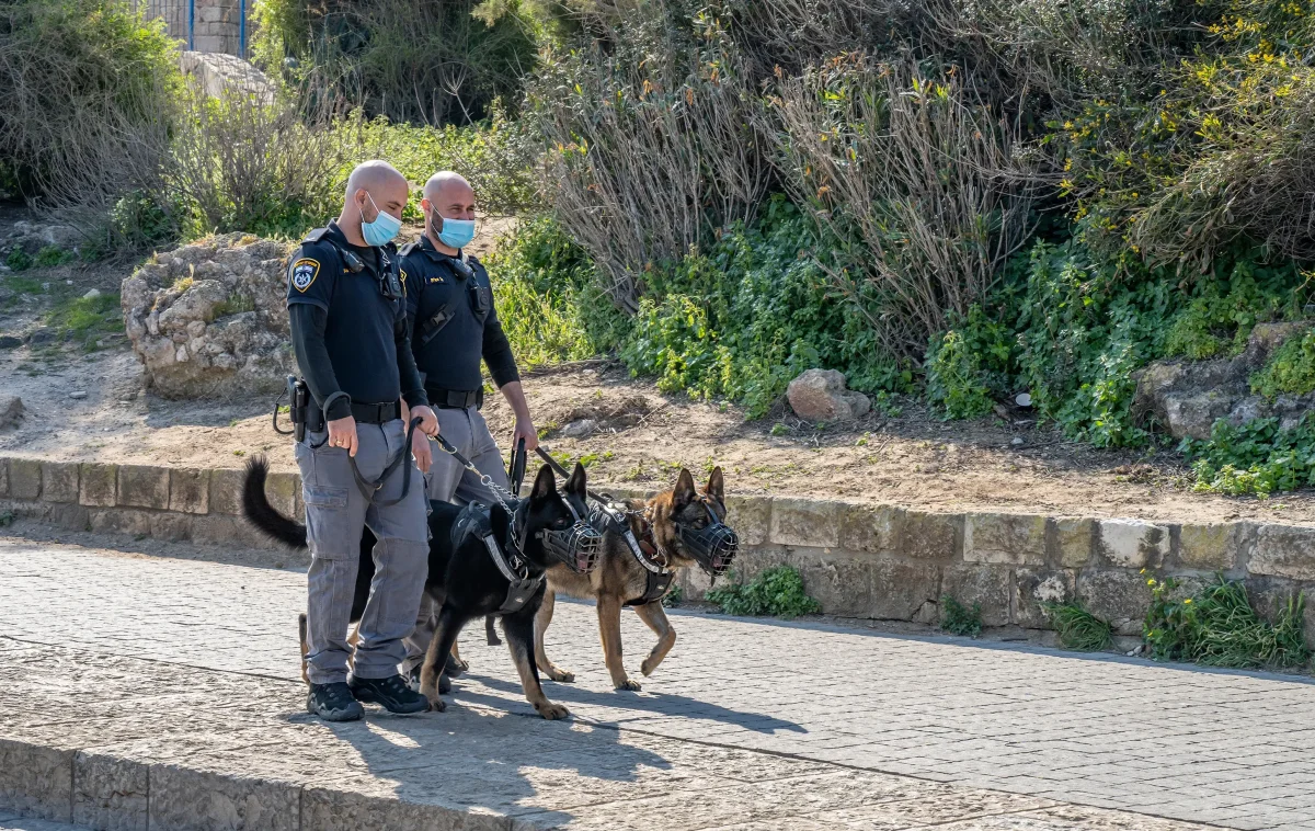 לא תאמינו היכן הוחבא הנשק הלא חוקי לא תאמינו היכן הוחבא הנשק הלא חוקי