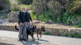 לא תאמינו היכן הוחבא הנשק הלא חוקי