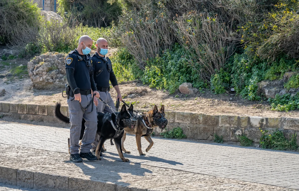 לא תאמינו היכן הוחבא הנשק הלא חוקי