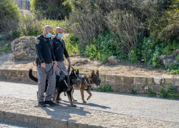 לא תאמינו היכן הוחבא הנשק הלא חוקי