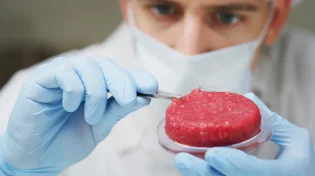 פריצת דרך: ארגון ה- FDA אישר למכור בשר מתורבת בארה"ב 