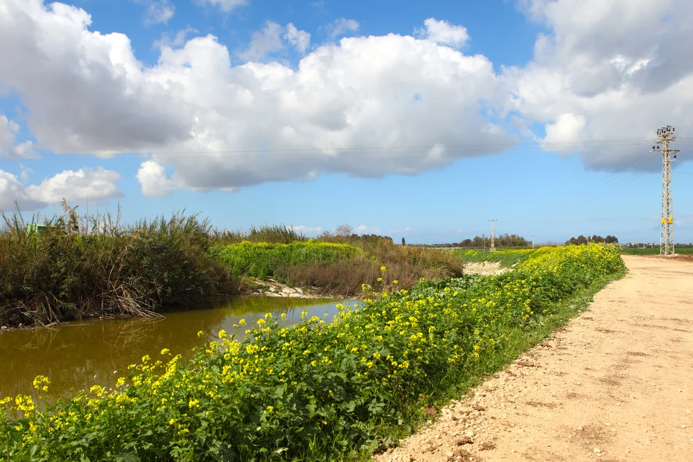 כניסת שבת מודיעין היום: יציאת שבת מודיעין - צאת שבת מודיעין