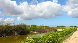 זמני כניסת ויציאת שבת במודיעין