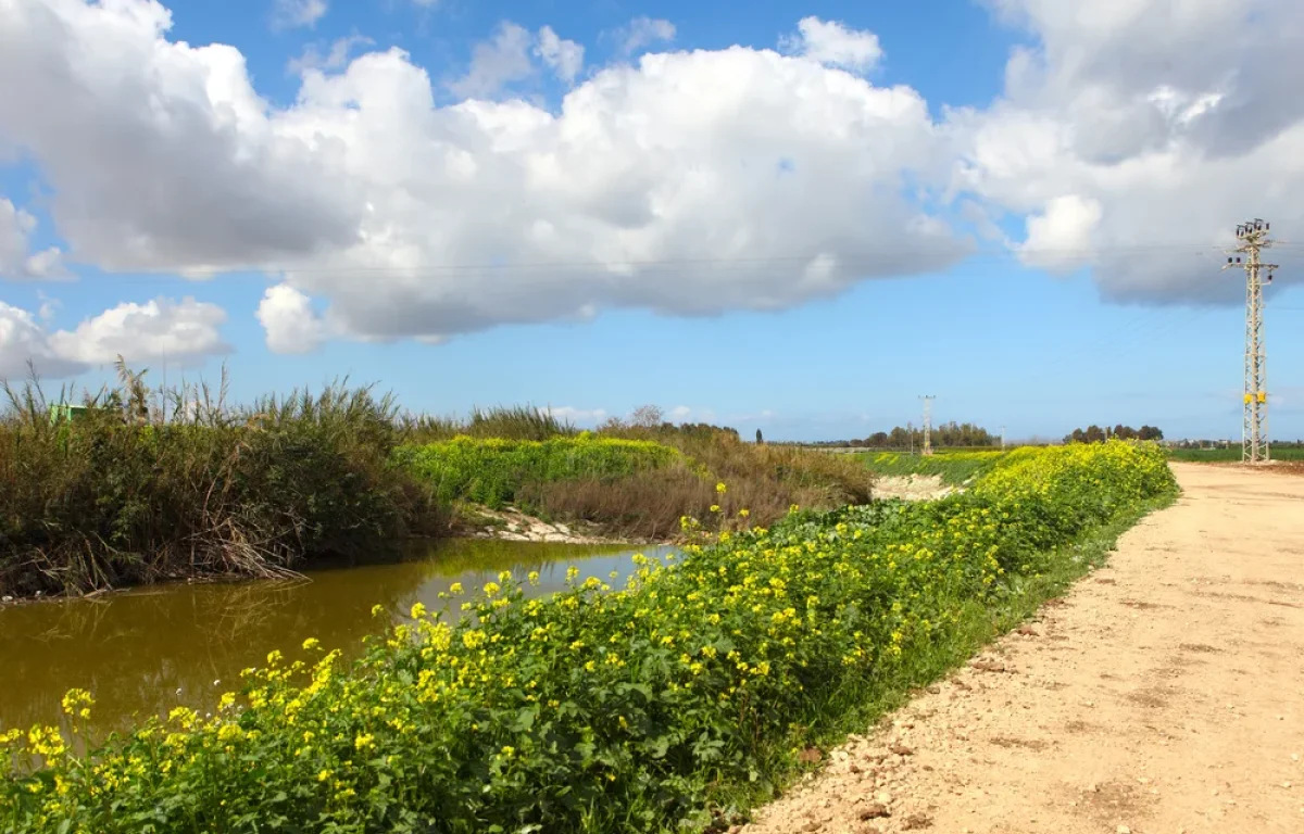 כניסת שבת מודיעין היום: יציאת שבת מודיעין - צאת שבת מודיעין