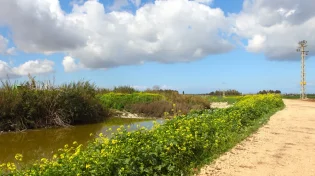 זמני כניסת ויציאת שבת במודיעין
