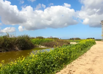 כניסת שבת מודיעין היום: יציאת שבת מודיעין - צאת שבת מודיעין