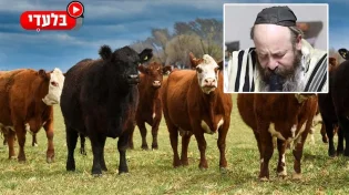 "זה עלול להזיק": המקובל הרב יעקב עדס באזהרה לציבור