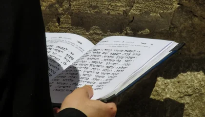 תהילים ליום חמישי