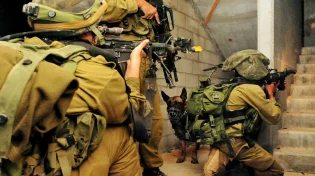 בכל החזיתות: ירי טילים וחיסול מחבלים שחדרו מצפון