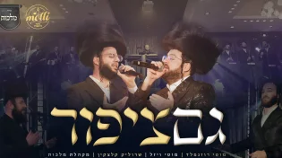 מוטי רוזנפלד - 'גם ציפור'