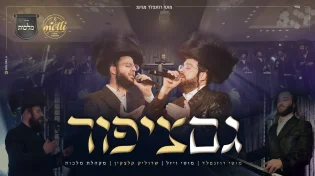 מוטי רוזנפלד - 'גם ציפור'
