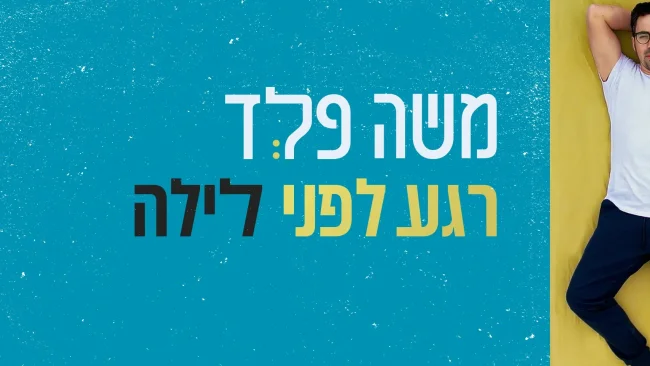 משה פלד - "רגע לפני לילה"
